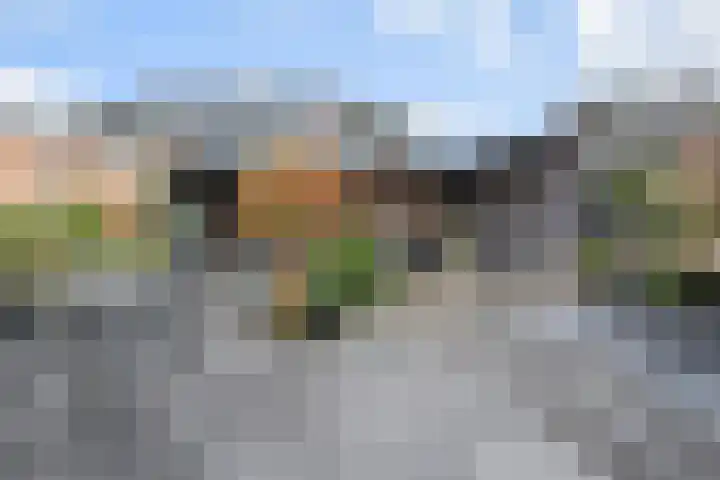Dignaland 6 Den Haag thumbnail 27