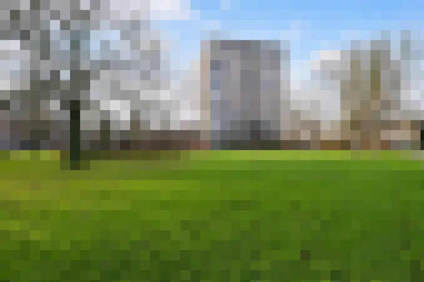 Dignaland 6 Den Haag thumbnail 29