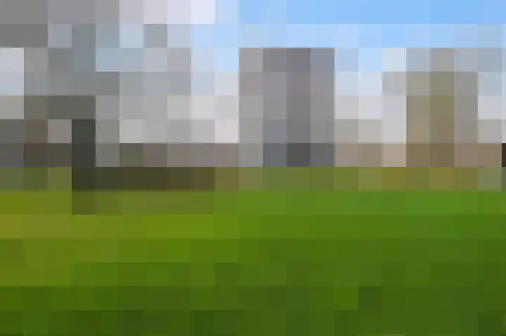 Dignaland 6 Den Haag thumbnail 29
