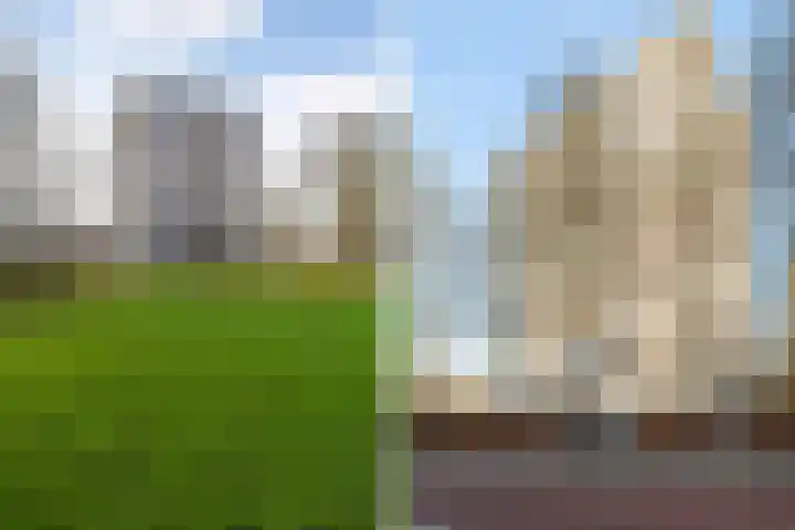 Dignaland 6 Den Haag thumbnail 30