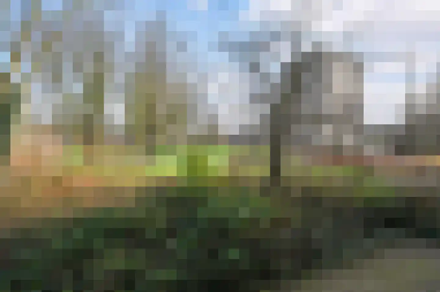 Dignaland 6 Den Haag thumbnail 31