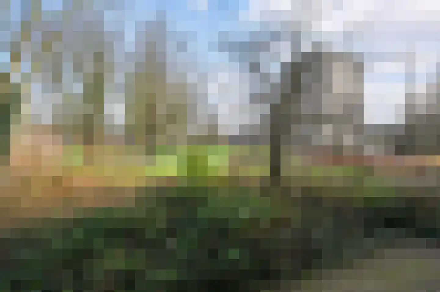 Dignaland 6 Den Haag thumbnail 31