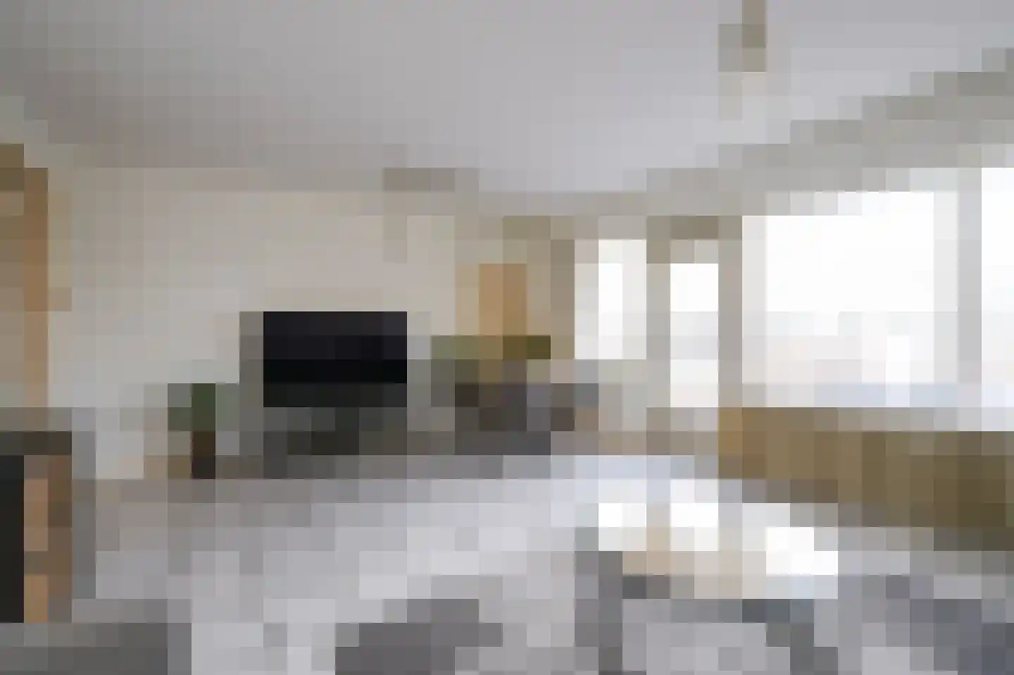 Dignaland 6 Den Haag thumbnail 5