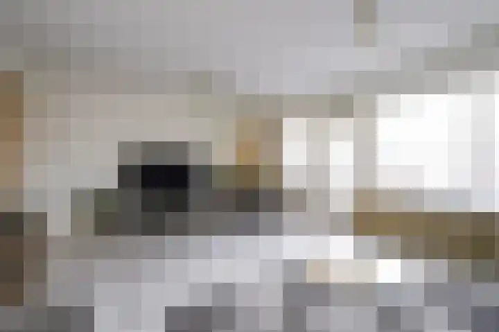 Dignaland 6 Den Haag thumbnail 5
