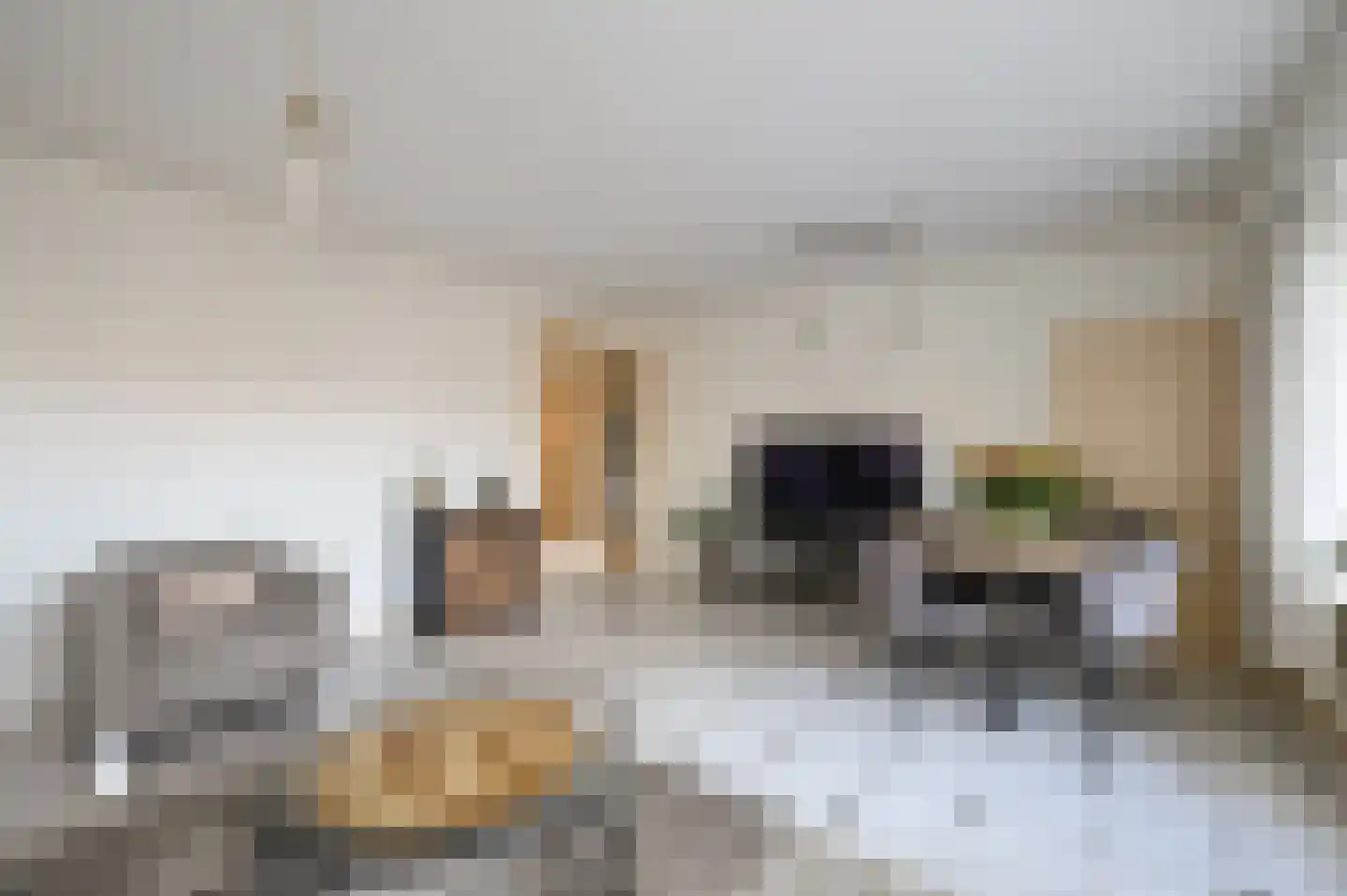 Dignaland 6 Den Haag thumbnail 6