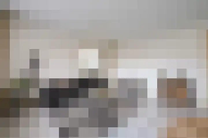 Dignaland 6 Den Haag thumbnail 7