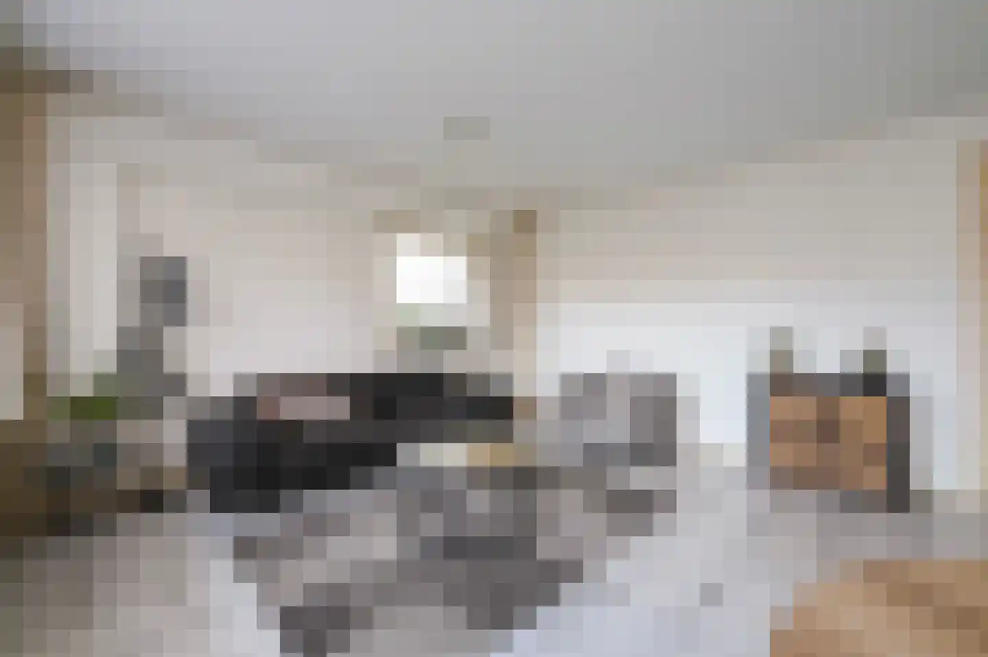 Dignaland 6 Den Haag thumbnail 7