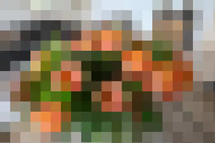 Dignaland 6 Den Haag thumbnail 8