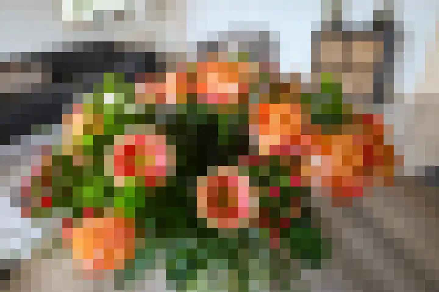 Dignaland 6 Den Haag thumbnail 8