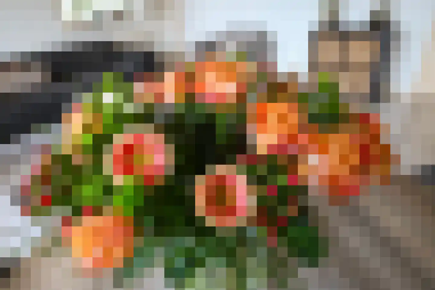 Dignaland 6 Den Haag thumbnail 8