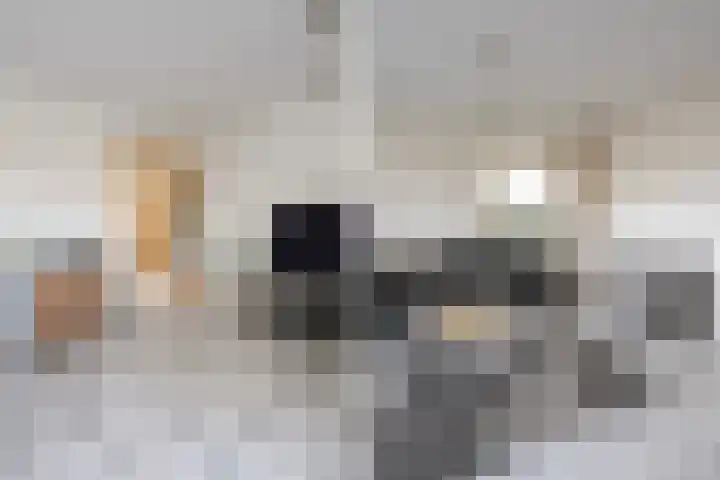 Dignaland 6 Den Haag thumbnail 9