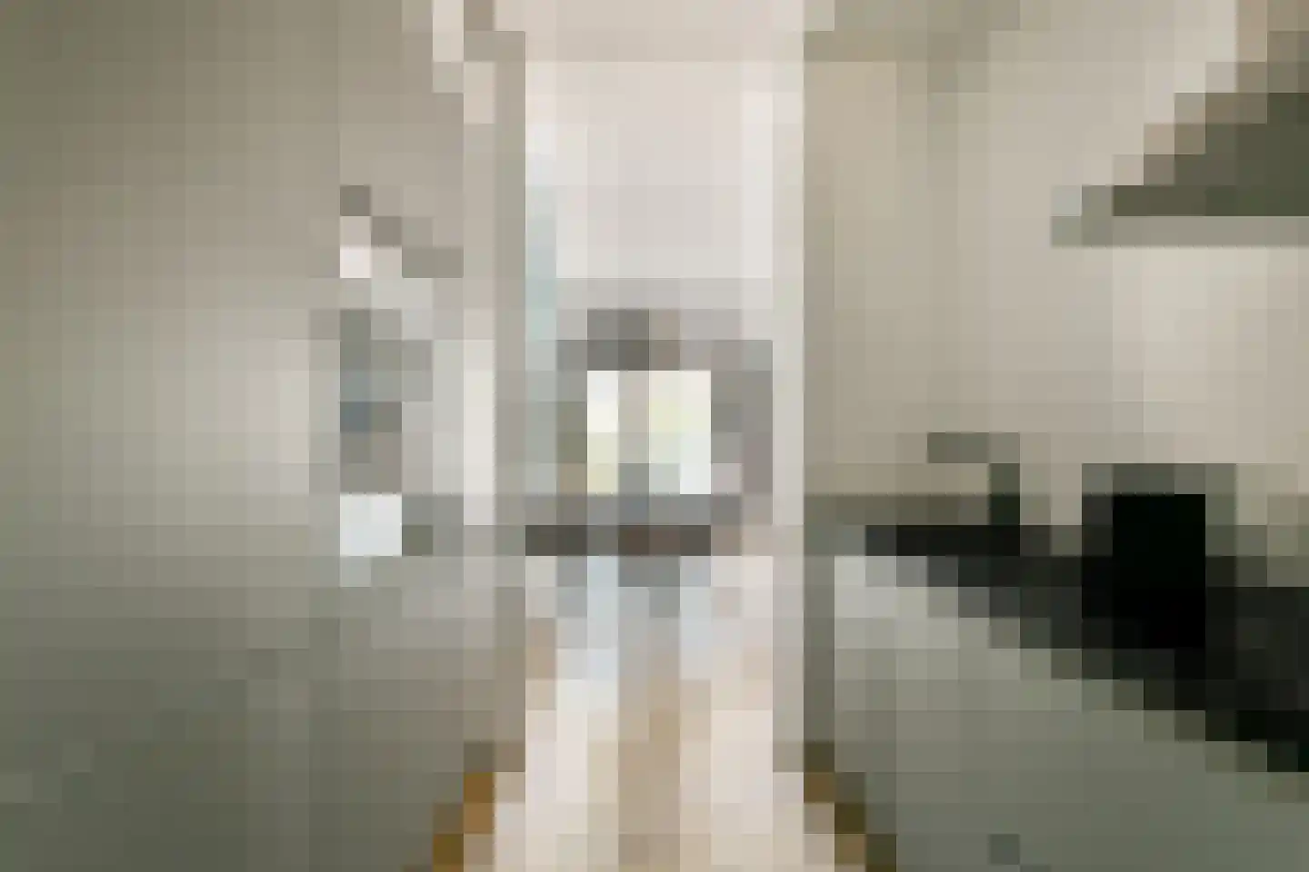 Dijckmansstraat 2 G Velsen-Noord thumbnail 4