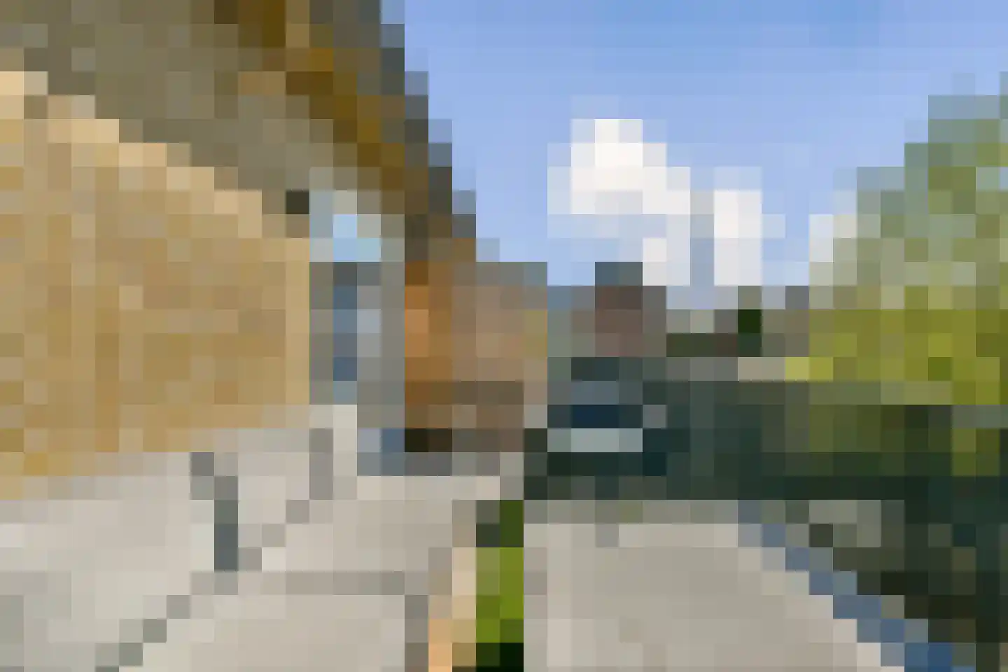 Dijckmansstraat 2 G Velsen-Noord thumbnail 7