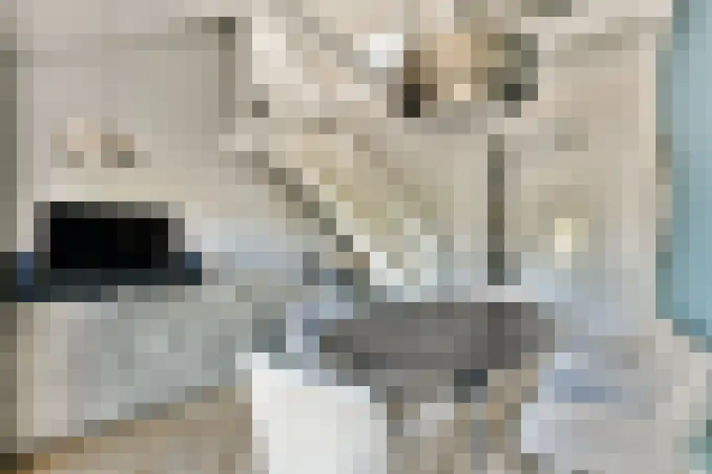 Dijckmansstraat 2 G Velsen-Noord thumbnail 8