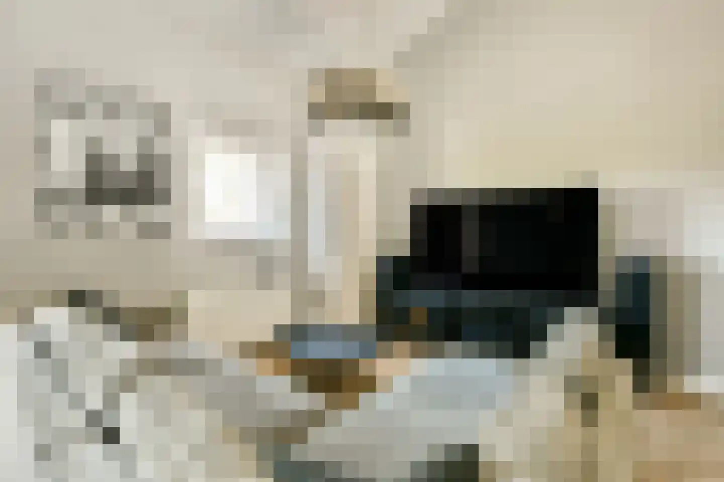 Dijckmansstraat 2 G Velsen-Noord thumbnail 9