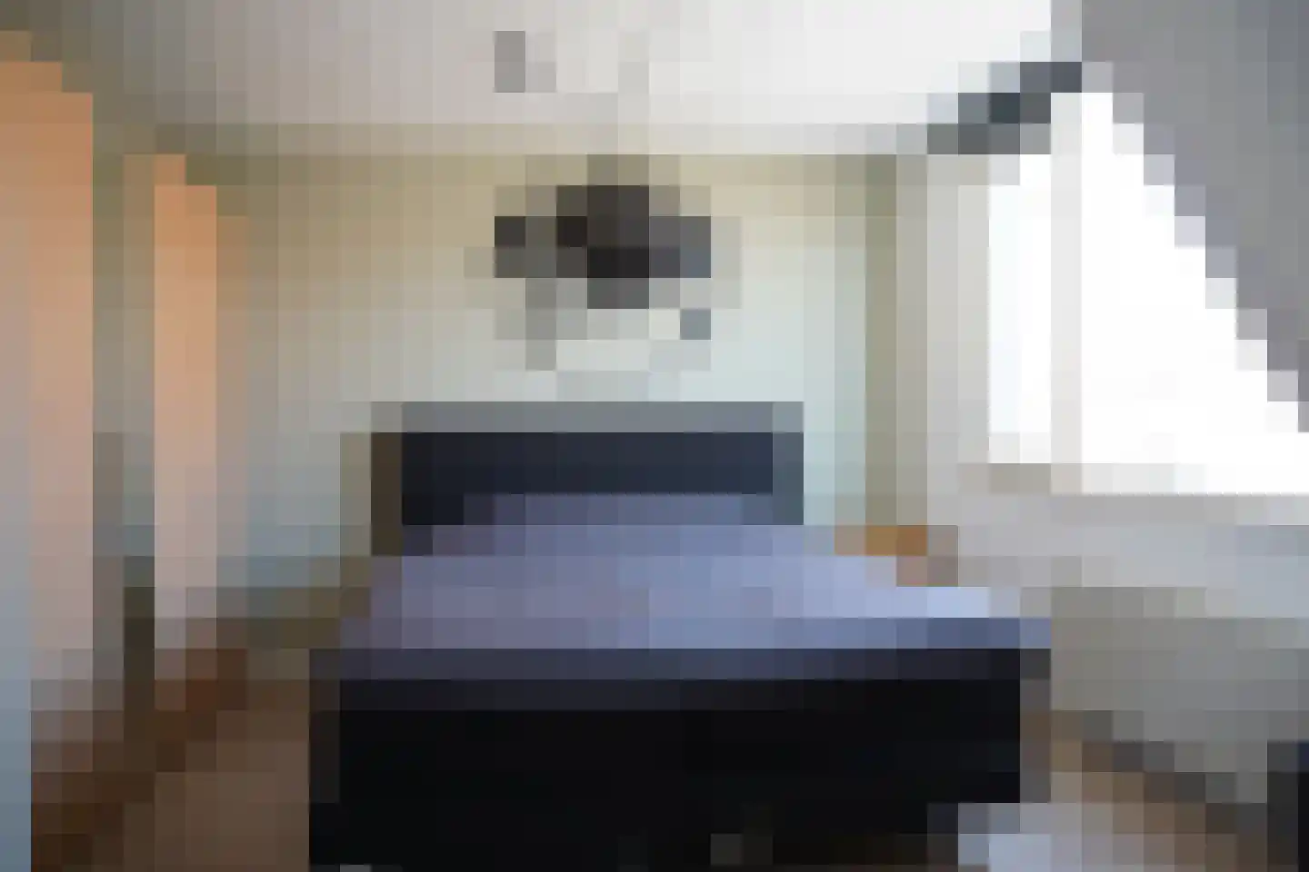 Dijckmeesterstraat 6 Groede thumbnail 12