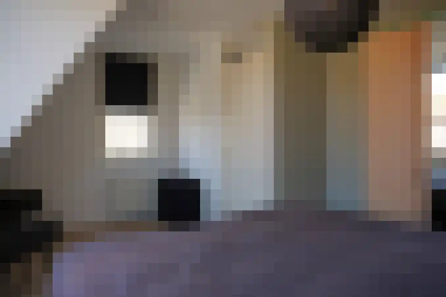 Dijckmeesterstraat 6 Groede thumbnail 13