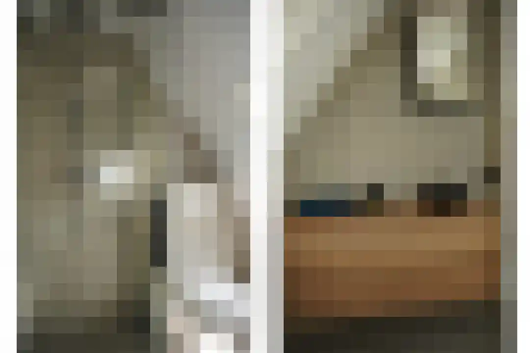 Dijckmeesterstraat 6 Groede thumbnail 14
