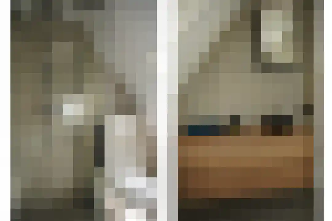 Dijckmeesterstraat 6 Groede thumbnail 15