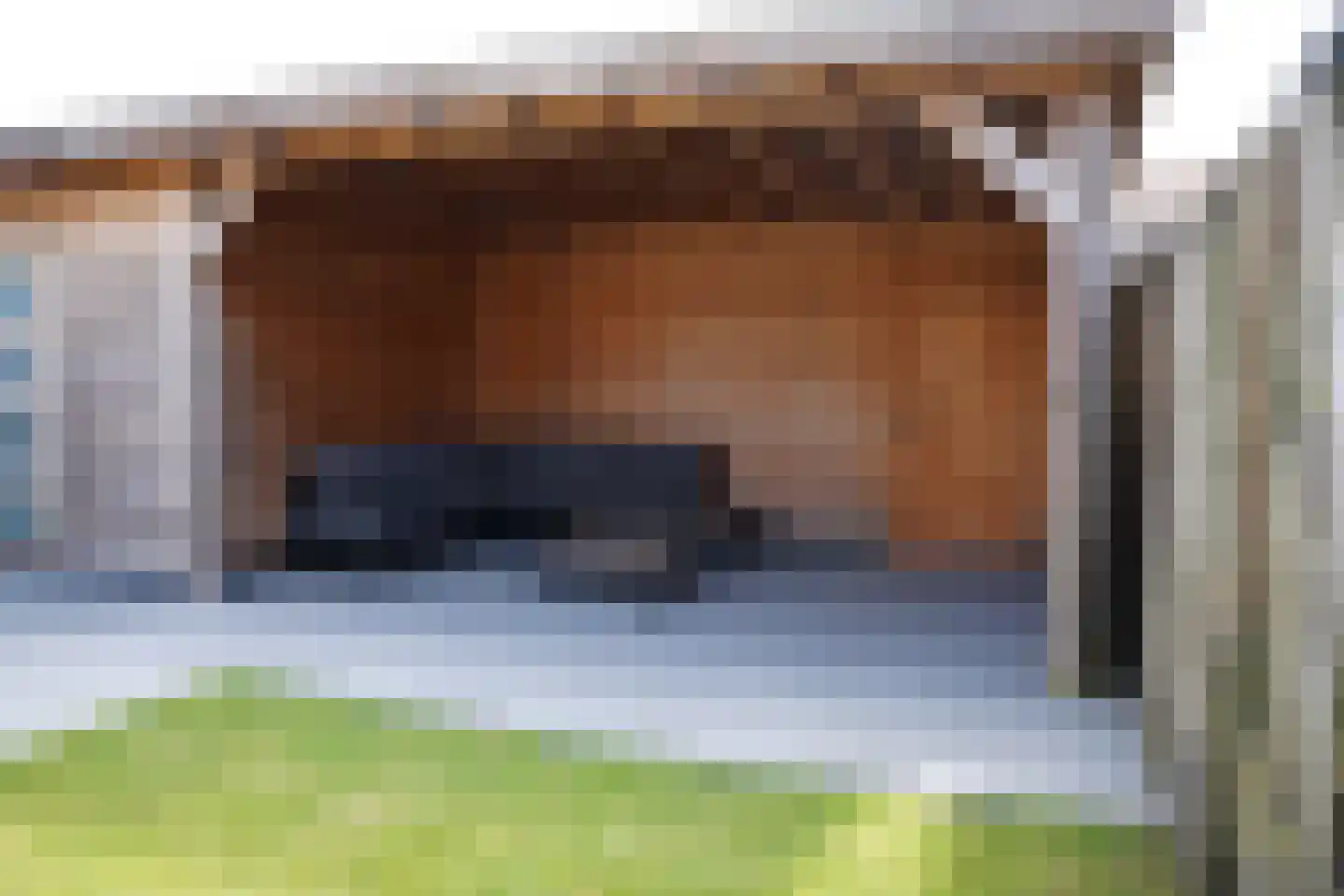 Dijckmeesterstraat 6 Groede thumbnail 23