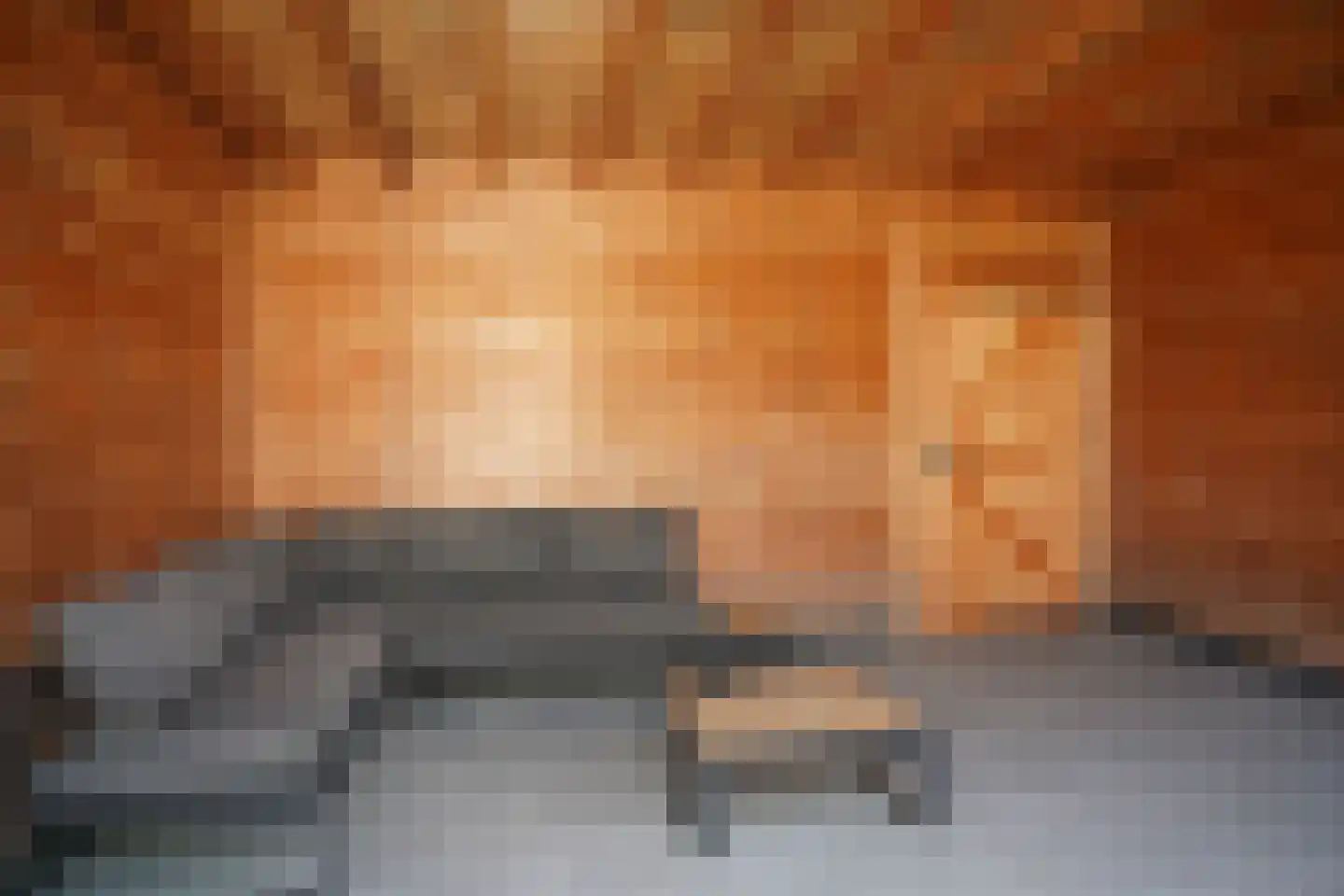 Dijckmeesterstraat 6 Groede thumbnail 24
