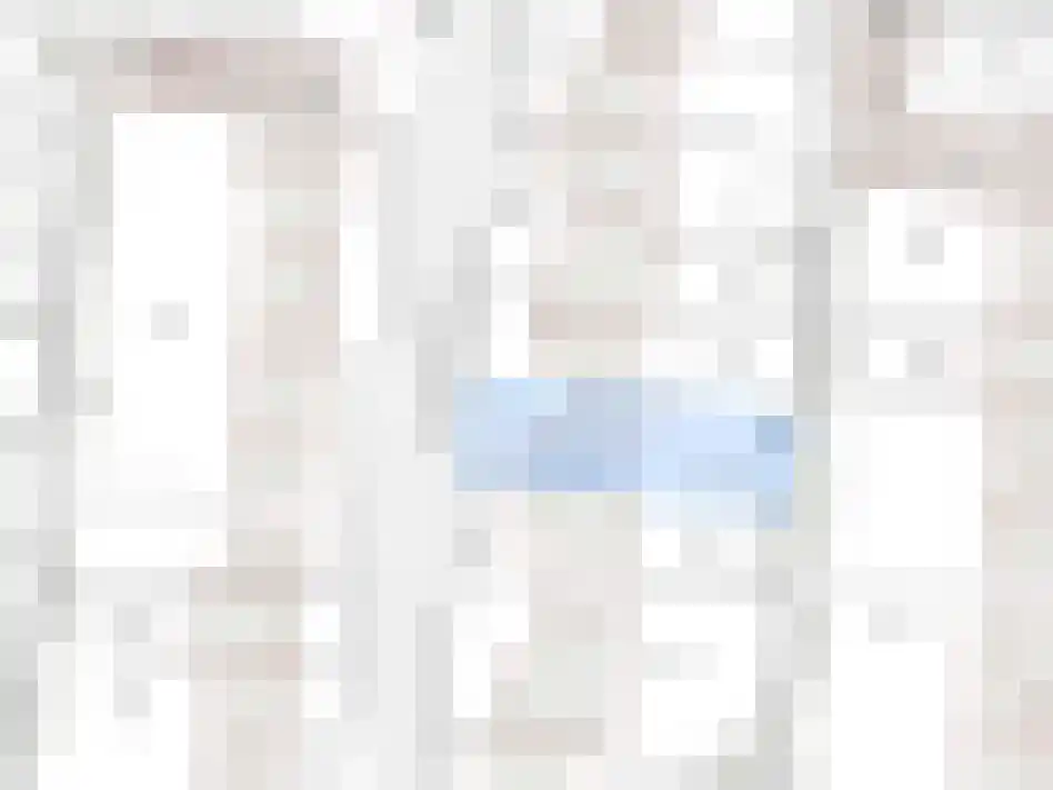 Dijckmeesterstraat 6 Groede thumbnail 30