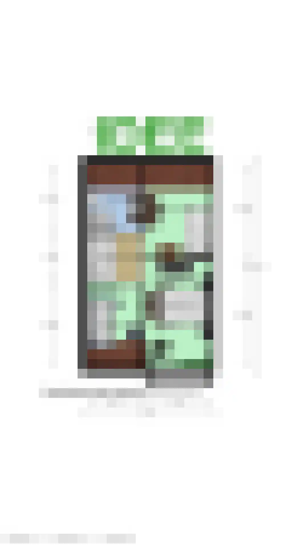 Dijckmeesterstraat 6 Groede thumbnail 33