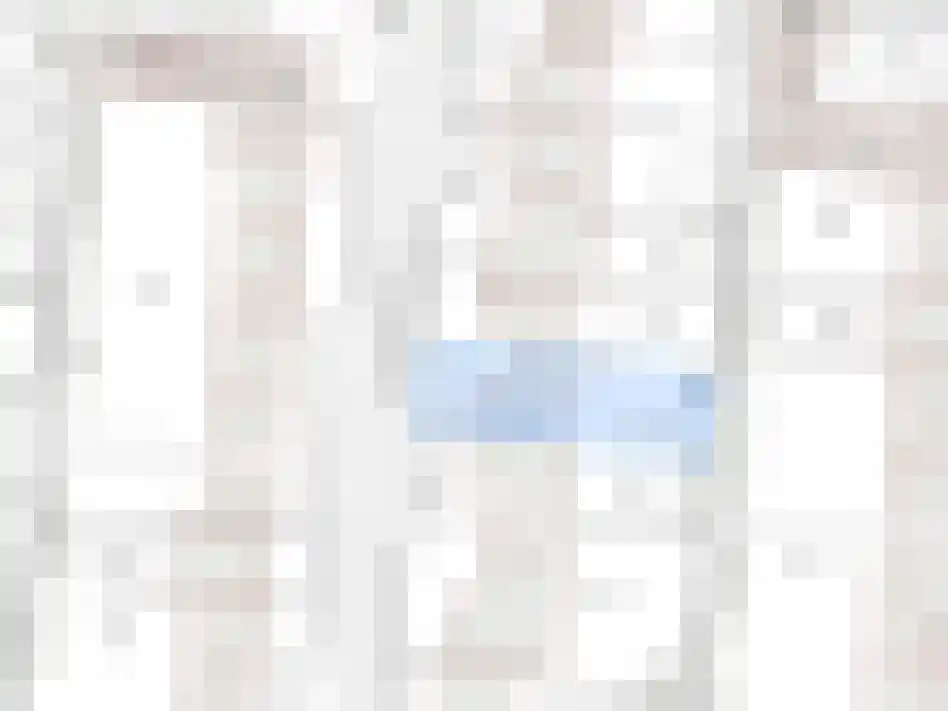 Dijckmeesterstraat 6 Groede thumbnail 34