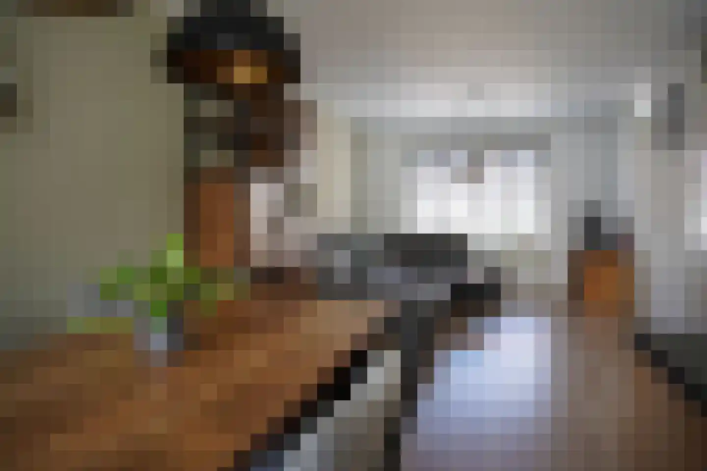 Dijckmeesterstraat 6 Groede thumbnail 4