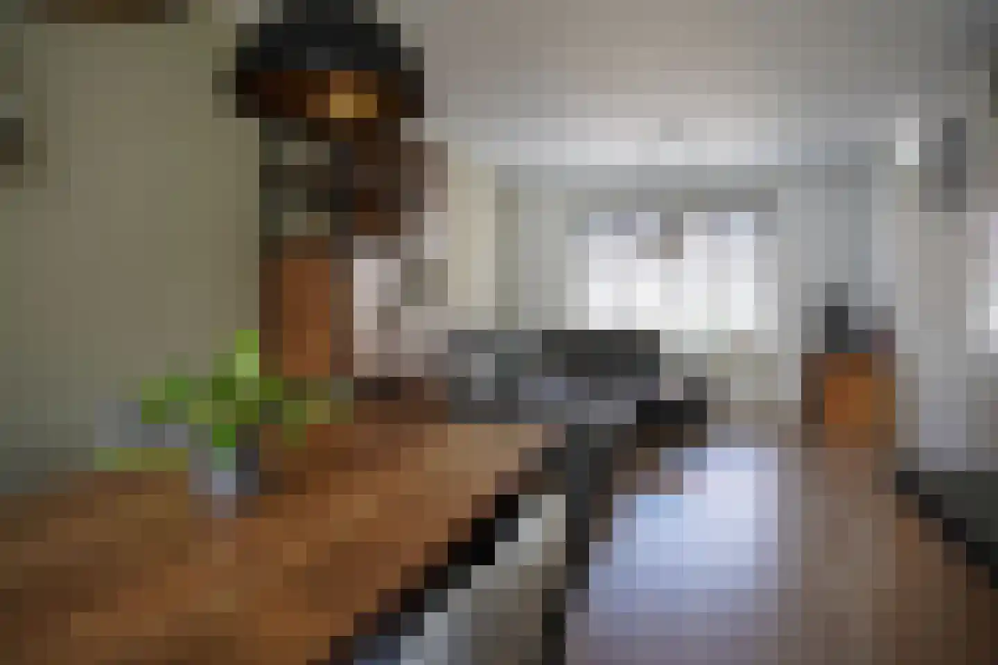 Dijckmeesterstraat 6 Groede thumbnail 5
