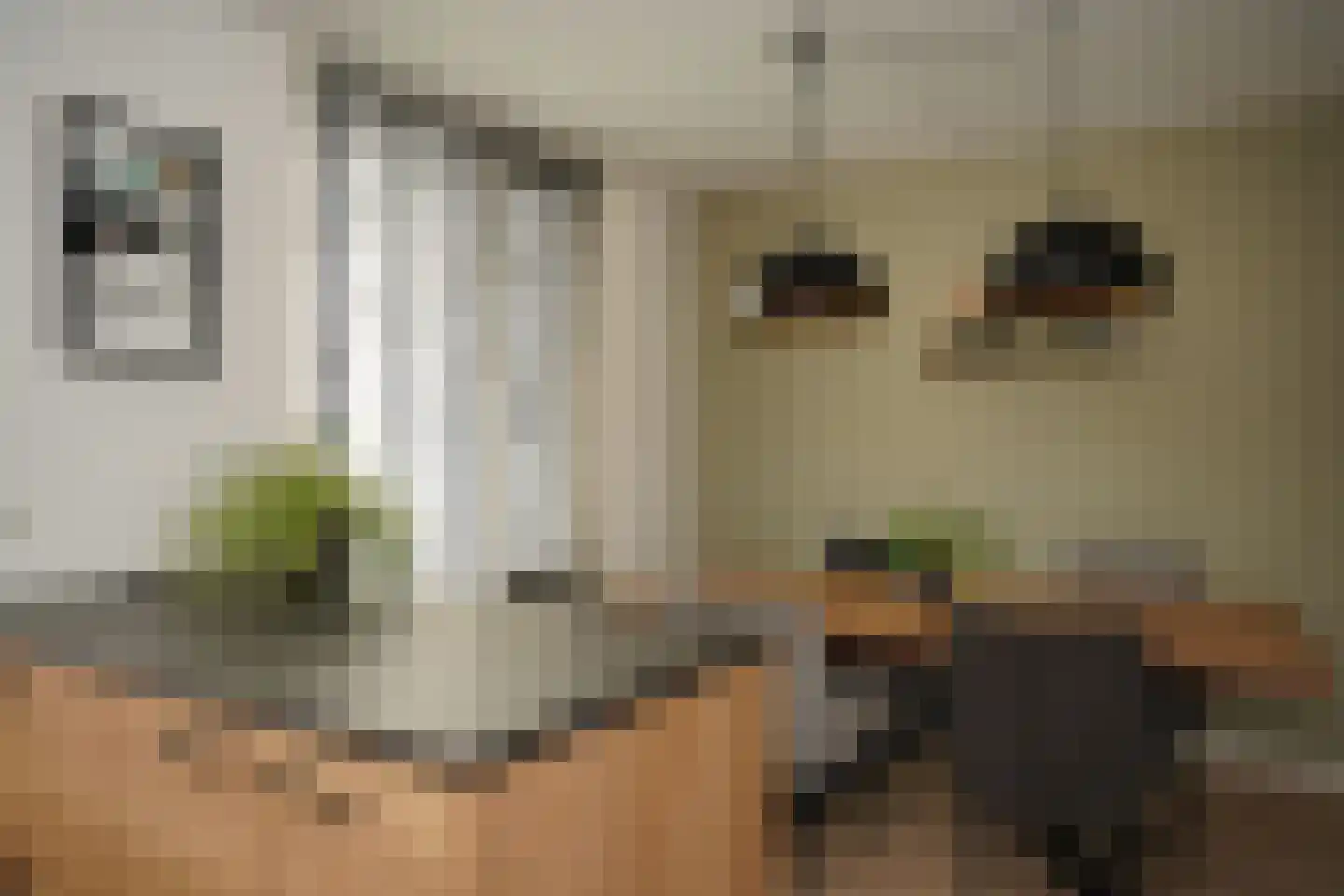 Dijckmeesterstraat 6 Groede thumbnail 7
