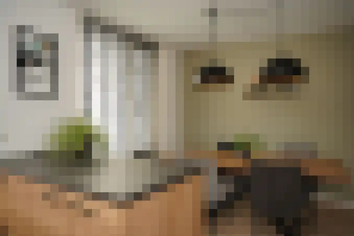Dijckmeesterstraat 6 Groede thumbnail 8