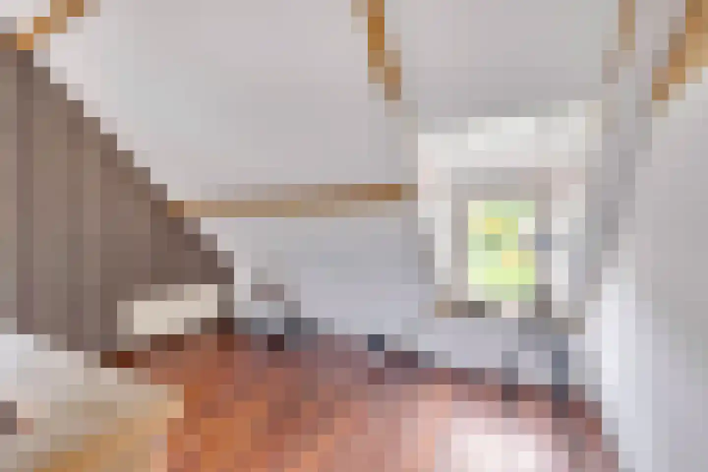 Dijckpotingen 8 Vierpolders thumbnail 23