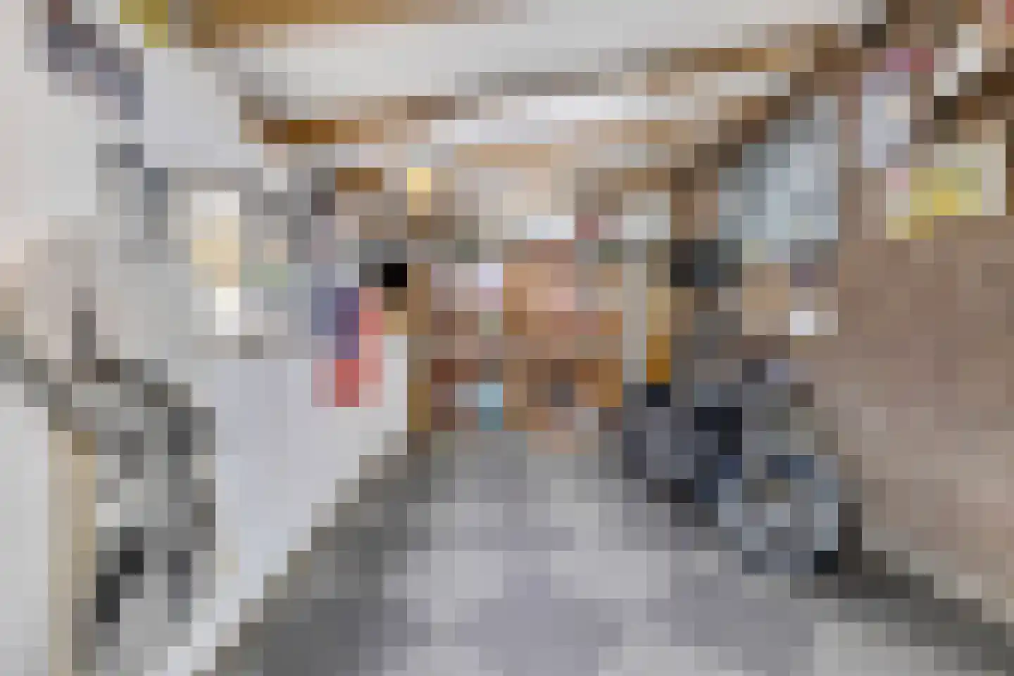 Dijckpotingen 8 Vierpolders thumbnail 33