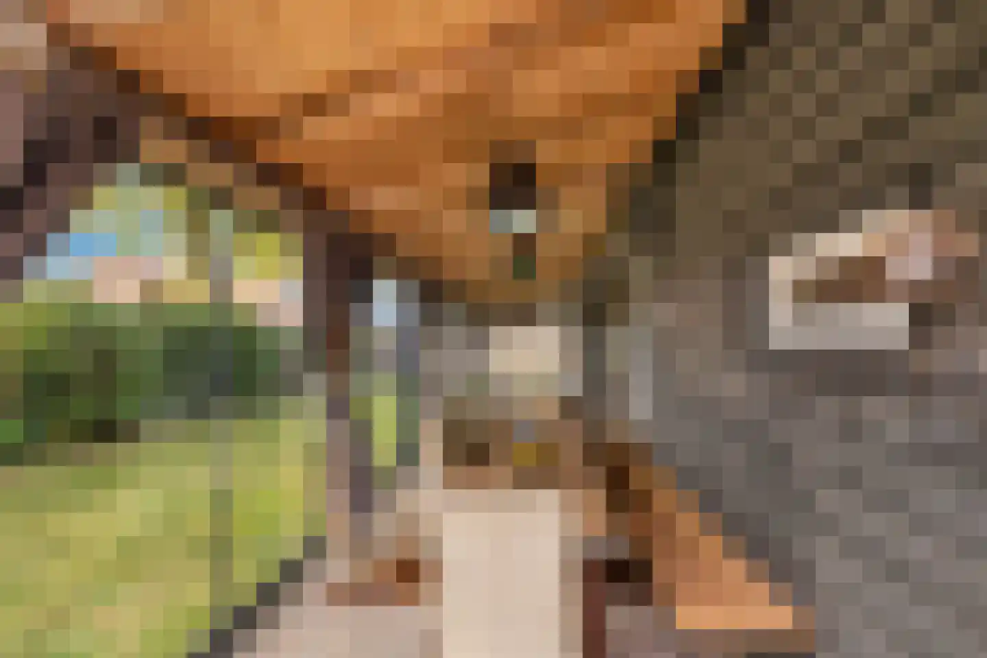 Dijckpotingen 8 Vierpolders thumbnail 37