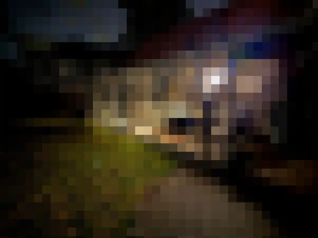 Dijckpotingen 8 Vierpolders thumbnail 41