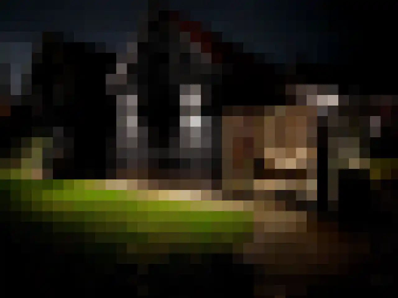 Dijckpotingen 8 Vierpolders thumbnail 42