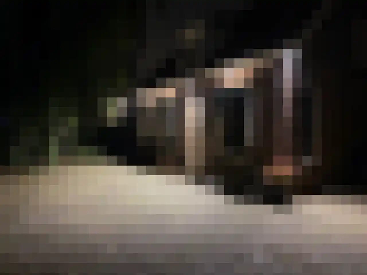 Dijckpotingen 8 Vierpolders thumbnail 43