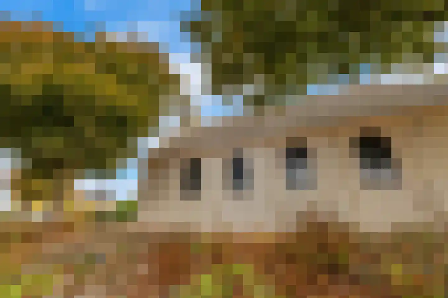 Dijckpotingen 8 Vierpolders thumbnail 45