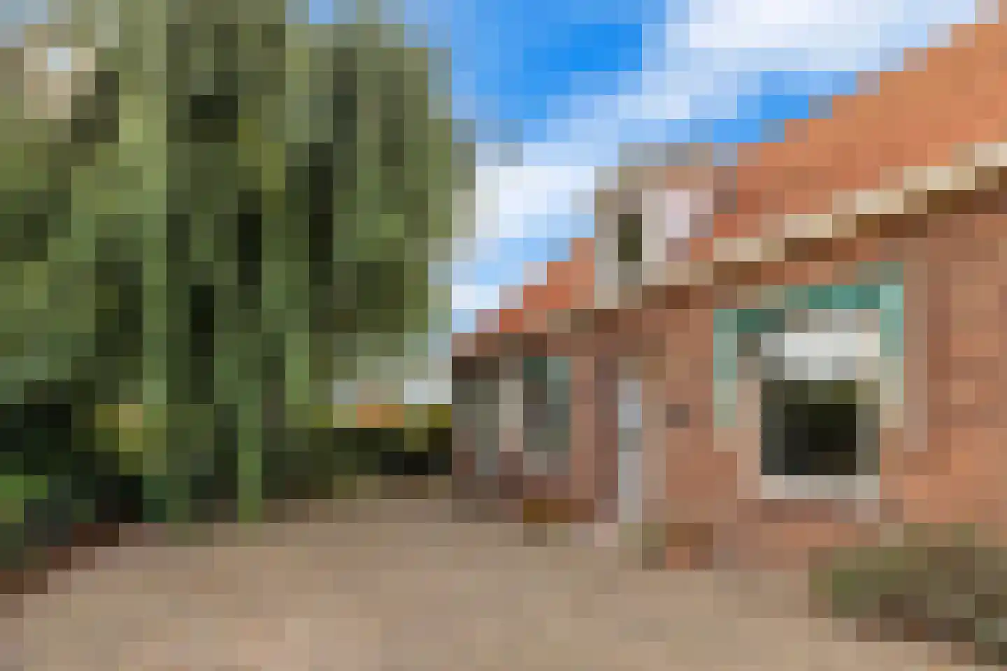 Dijckpotingen 8 Vierpolders thumbnail 7