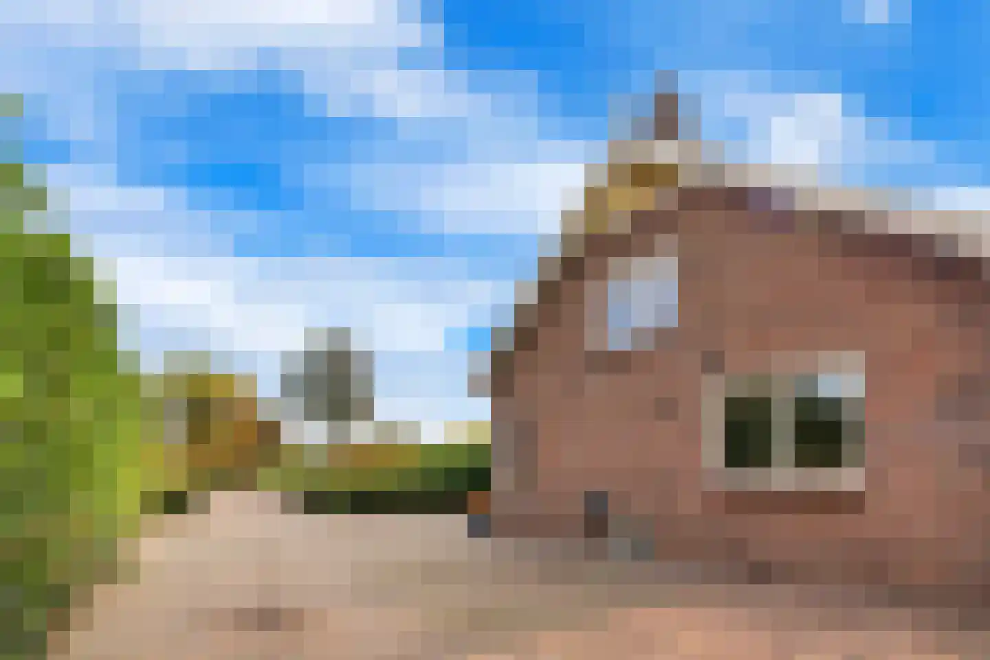 Dijckpotingen 8 Vierpolders thumbnail 8