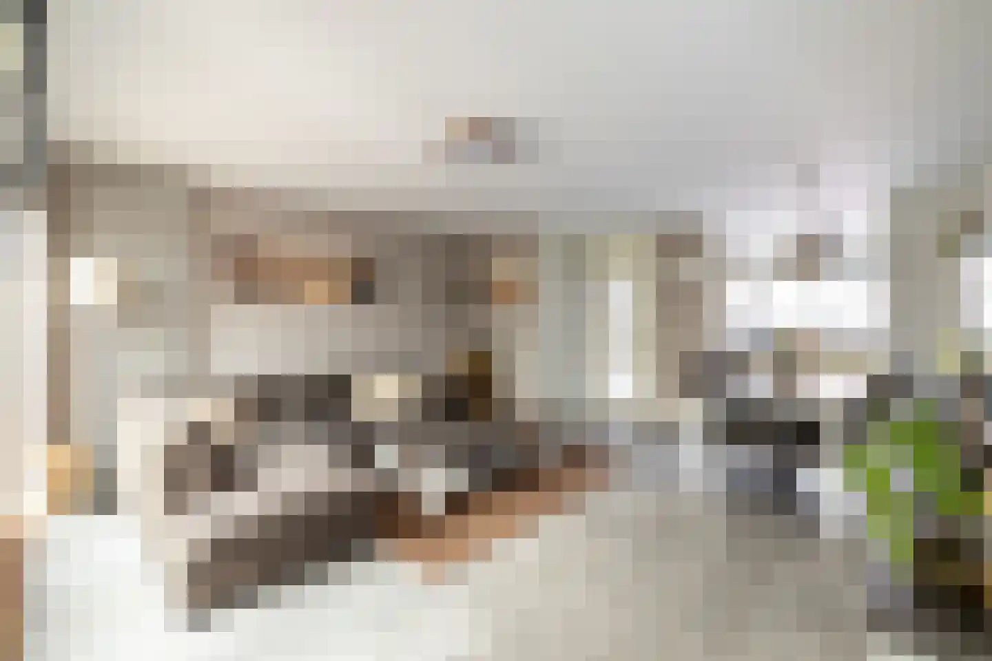 Dijckscampenlaan 107 Purmerend thumbnail 11