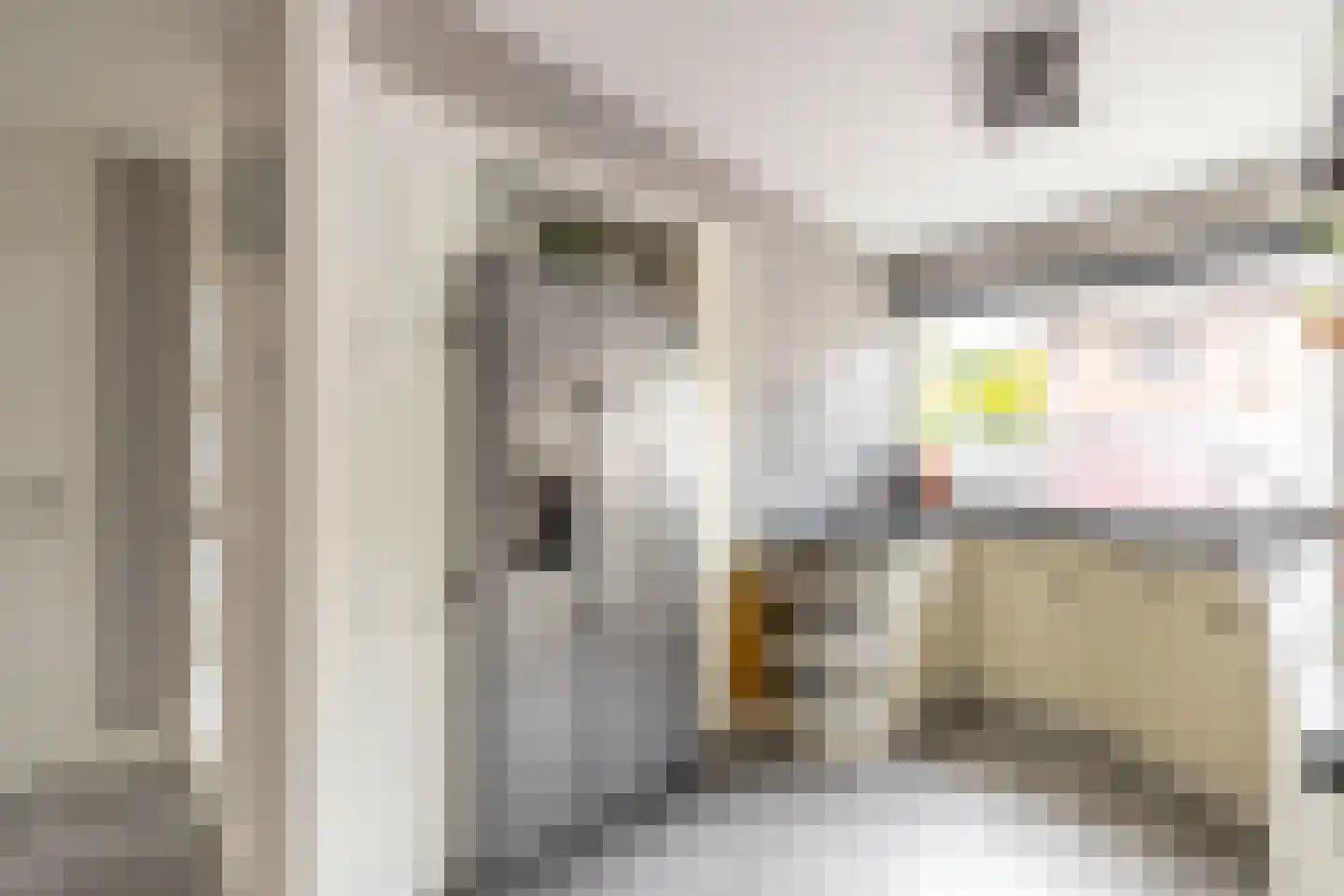 Dijckscampenlaan 107 Purmerend thumbnail 18