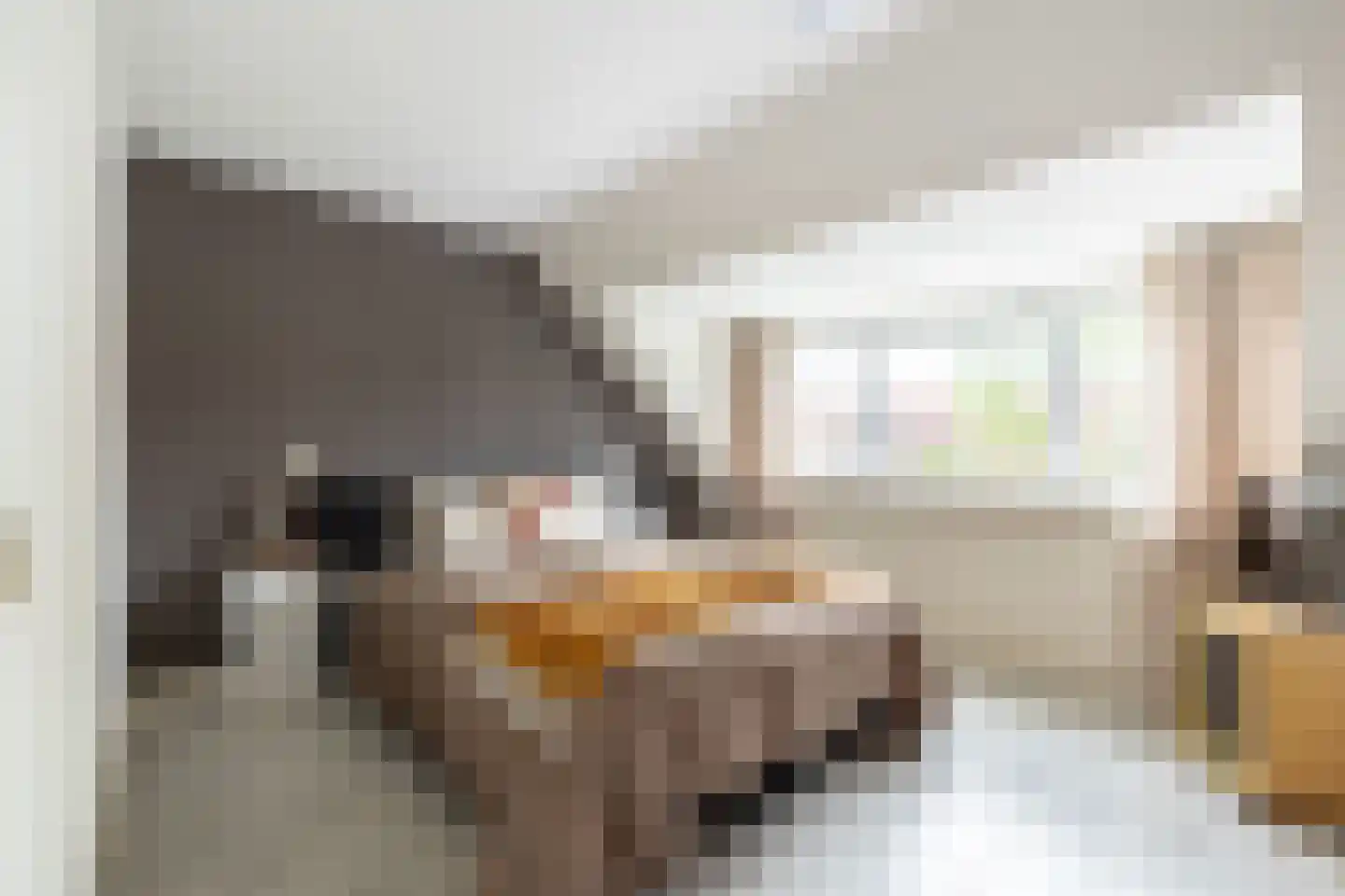 Dijckscampenlaan 107 Purmerend thumbnail 21
