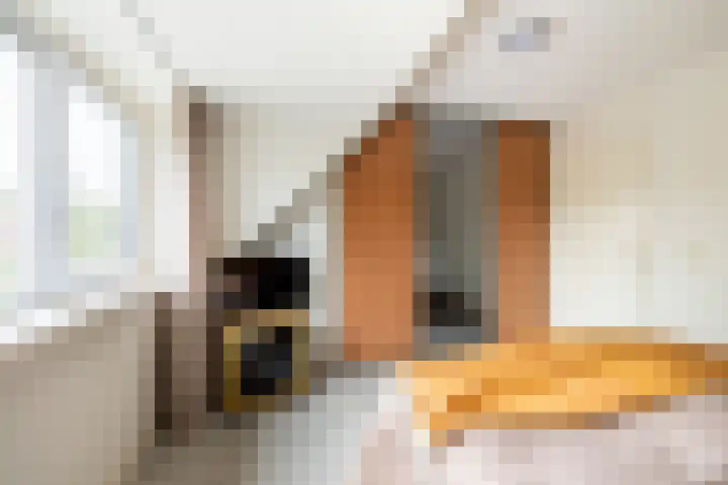 Dijckscampenlaan 107 Purmerend thumbnail 22