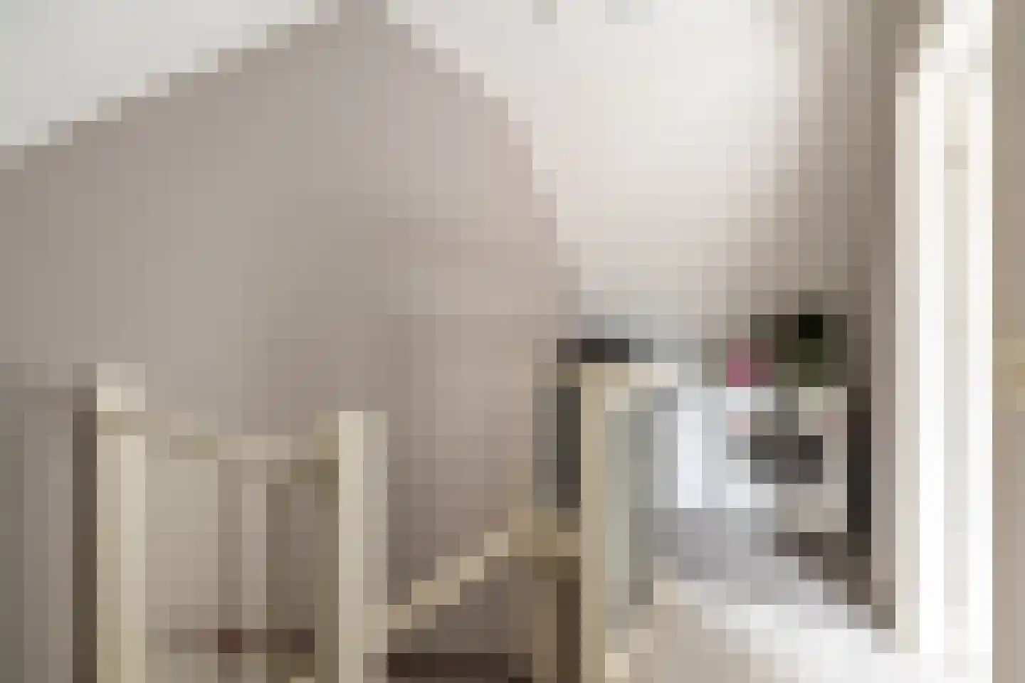 Dijckscampenlaan 107 Purmerend thumbnail 26