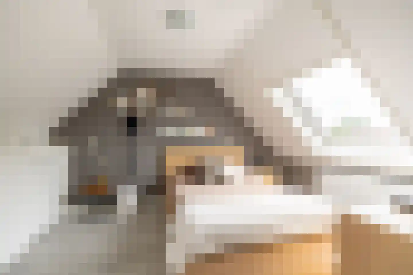 Dijckscampenlaan 107 Purmerend thumbnail 27