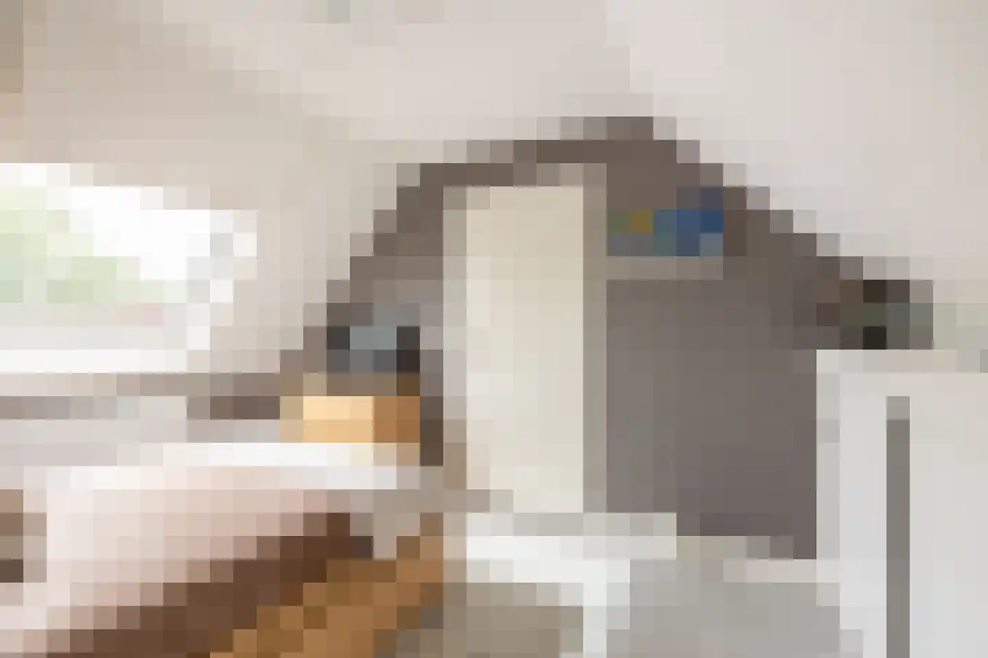 Dijckscampenlaan 107 Purmerend thumbnail 28