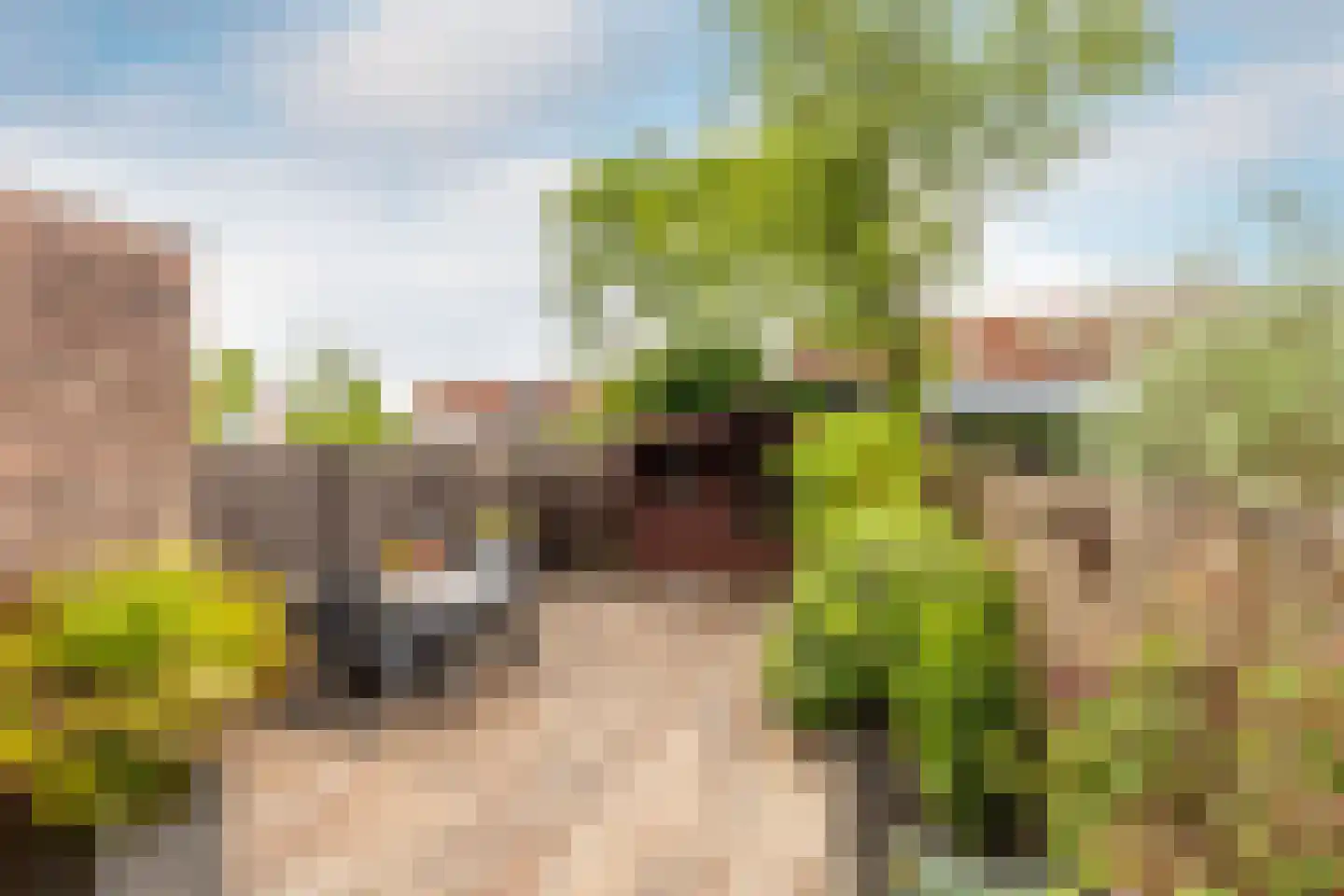 Dijckscampenlaan 107 Purmerend thumbnail 32