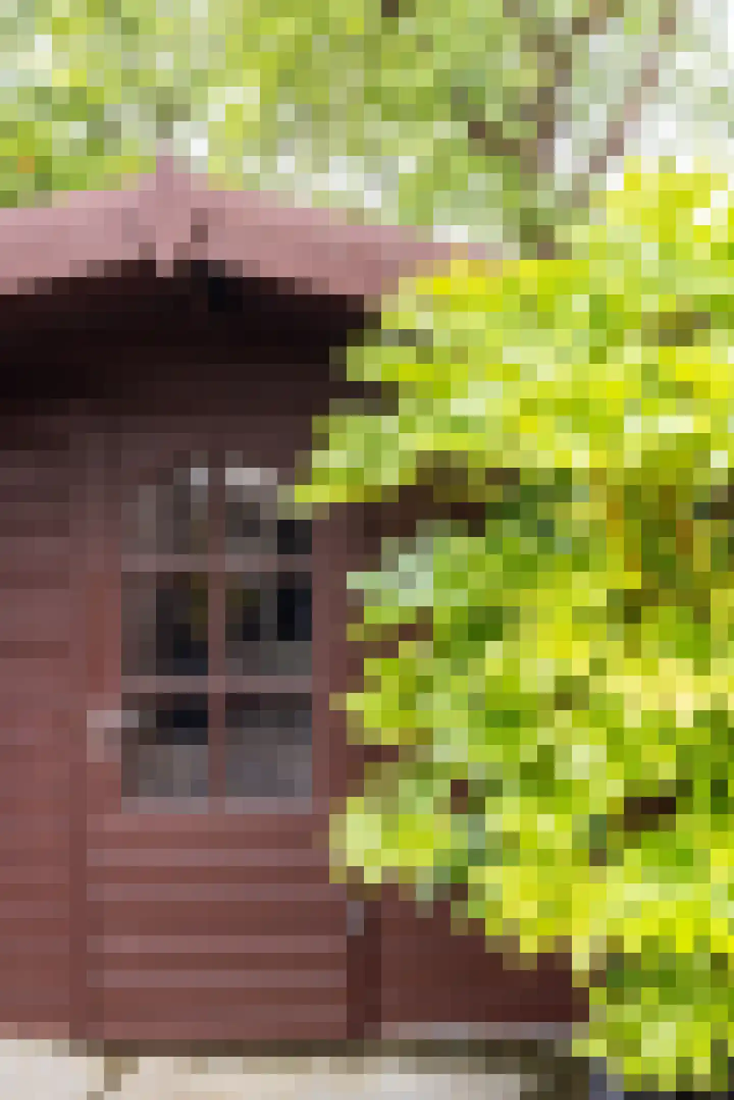 Dijckscampenlaan 107 Purmerend thumbnail 33